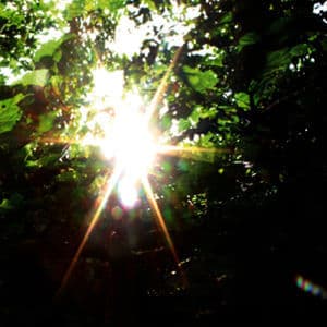 Summer Light