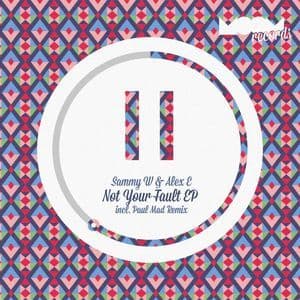 Not Your Fault EP