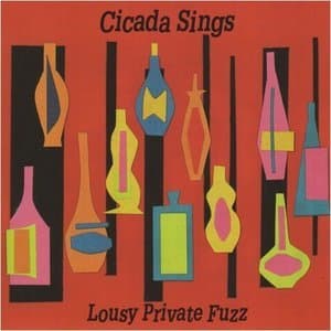 Lousy Private Fuzz