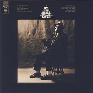 I Am The Blues (The Perfect Blues Collection, 2011, Sony Music)