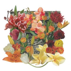 Wall Of Flowers