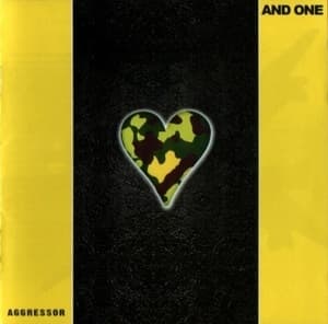 Aggressor
