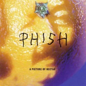 A Picture Of Nectar