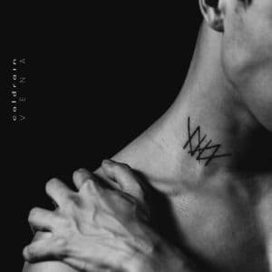 Vena