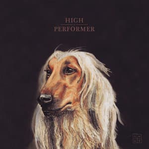High Performer