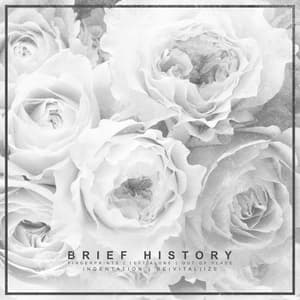 Brief History