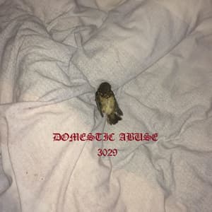 Domestic Abuse