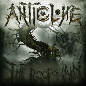 The Root Of Man