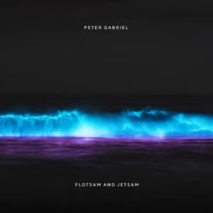 Flotsam And Jetsam (Remastered)