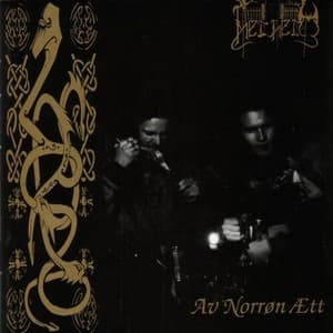 Av Norron Aett (2002 Reissue)
