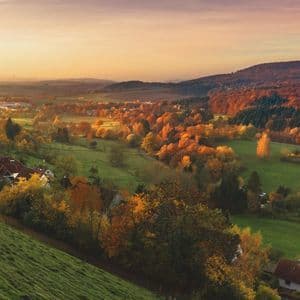 Sounds Of The Countryside