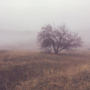Daydreams