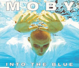 Into The Blue