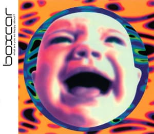 What Are You So Happy About? [CDS]