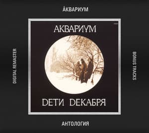Дети Декабря