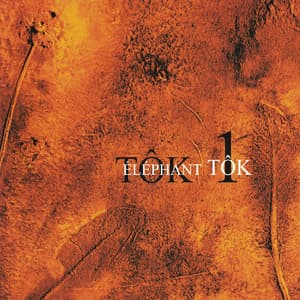 Tok 1