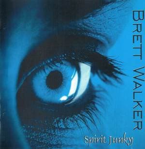 Spirit Junky (10034)