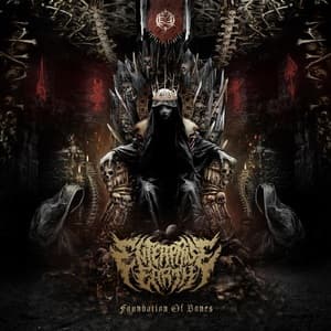 Foundation Of Bones