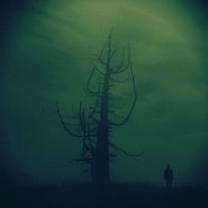 Growth In The Absence Of Light
