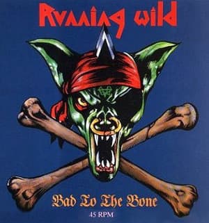 Bad To The Bone [CDS]