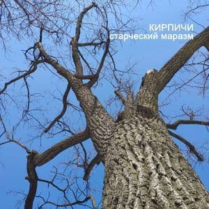Старческий Маразм
