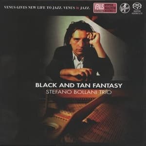 Black And Tan Fantasy