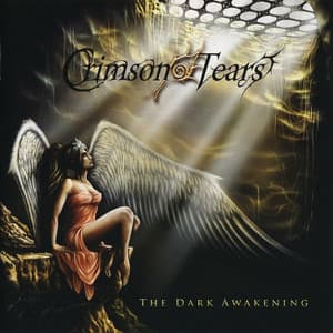The Dark Awakening