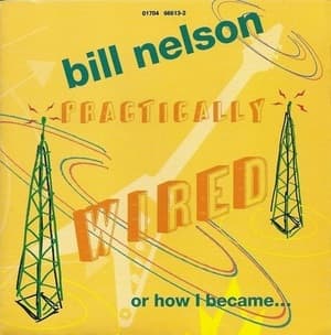 Practically Wired Or How I Became Guitarboy