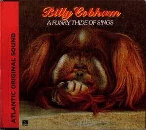 A Funky Thide Of Sings