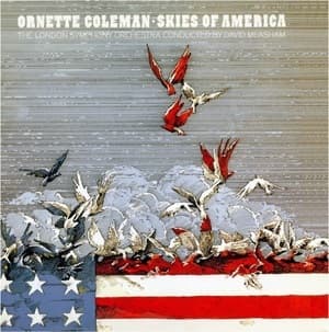 Skies Of America