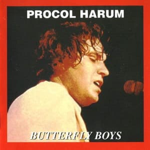 Butterfly Boys