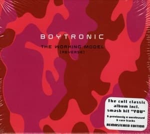 The Working Model (Reverse)