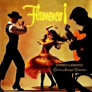 Flamenco!