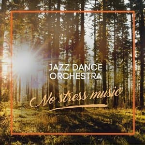 No Stress Music