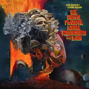 Ice, Death, Planets, Lungs, Mushrooms and Lava