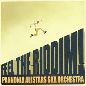 Feel the Riddim