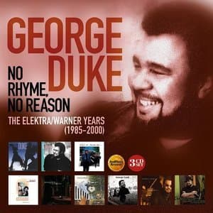 No Ryme, No Reason: The Elektra/Warner years 1985-2000