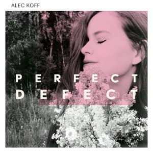 Perfect Defect