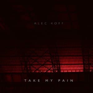 Take My Pain