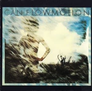 Flow Motion