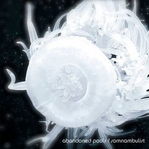 Somnambulist