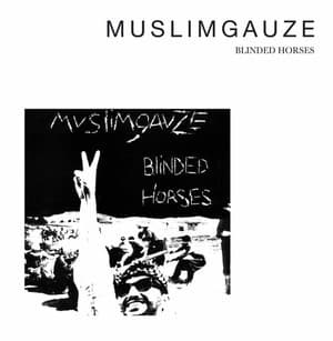 Blinded Horses