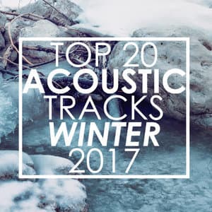 Top 20 Acoustic Tracks Winter 2017 (Instrumental Version)
