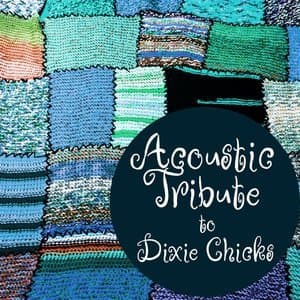 Acoustic Tribute to Dixie Chicks (Instrumental)