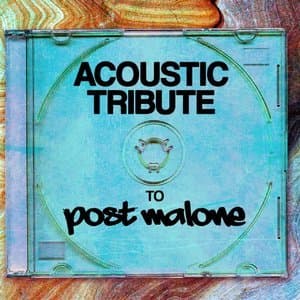Post Malone Acoustic Tribute (Instrumental)