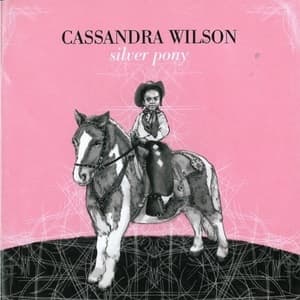 Silver Pony