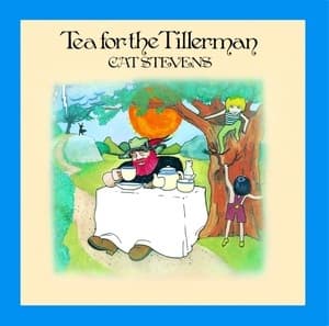 Tea For The Tillerman