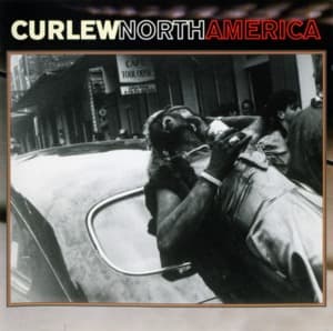 North America