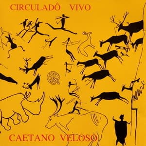 Circulado Vivo
