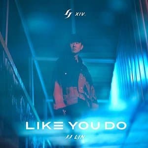 Like You Do
